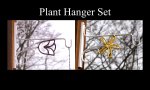 Plant Hanger: Rose &amp; Daisy Set